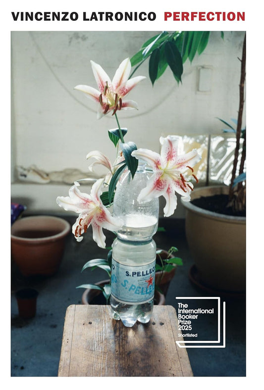 "Perfection" by Vincenzo Latronico - Book Review